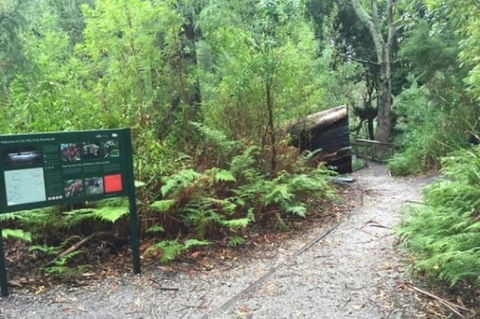 Wilsons Promontory Walking And Sightseeing Tour From Phillip Island - Accommodation Newcastle 1