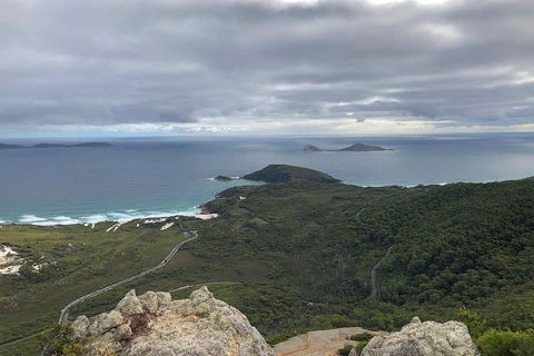 Wilsons Promontory Walking And Sightseeing Tour From Phillip Island - Accommodation Newcastle 7