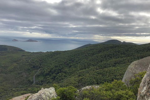 Wilsons Promontory Walking And Sightseeing Tour From Phillip Island - Accommodation Newcastle 5