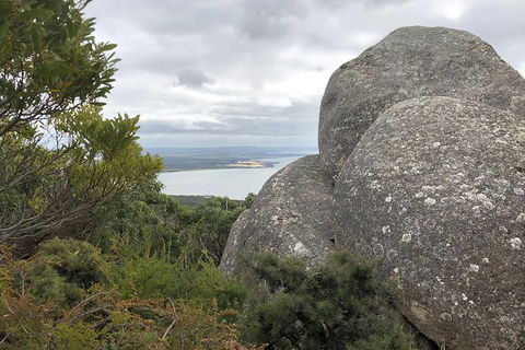 Wilsons Promontory Walking And Sightseeing Tour From Phillip Island - Accommodation Newcastle 15