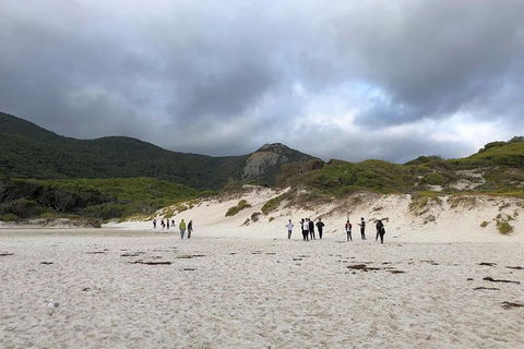 Wilsons Promontory Walking And Sightseeing Tour From Phillip Island - Accommodation Newcastle 4