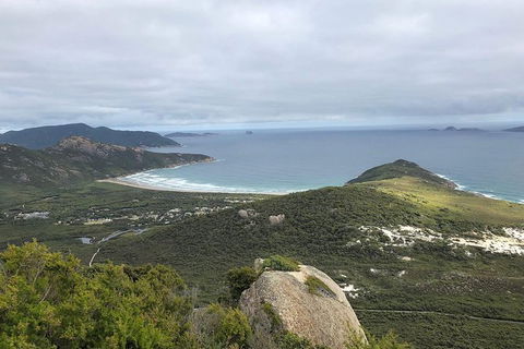 Wilsons Promontory Walking And Sightseeing Tour From Phillip Island - Accommodation Newcastle 12