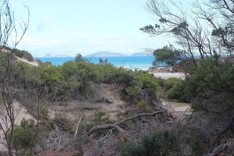 Wilsons Promontory Walking And Sightseeing Tour From Phillip Island - Accommodation Newcastle 14
