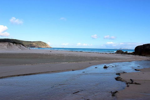 Wilsons Promontory Walking And Sightseeing Tour From Phillip Island - Accommodation Newcastle 3