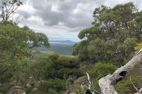 Wilsons Promontory Walking And Sightseeing Tour From Phillip Island - Accommodation Newcastle 13