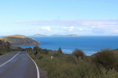 Wilsons Promontory Walking And Sightseeing Tour From Phillip Island - Accommodation Newcastle 2