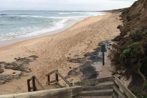 Phillip Island Walking & Bird Watching Tour - Accommodation Newcastle 3