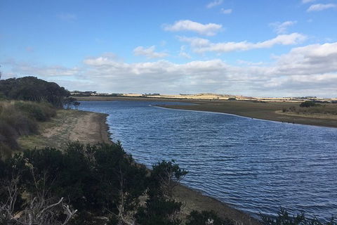 Phillip Island Walking & Bird Watching Tour - Accommodation Newcastle 7