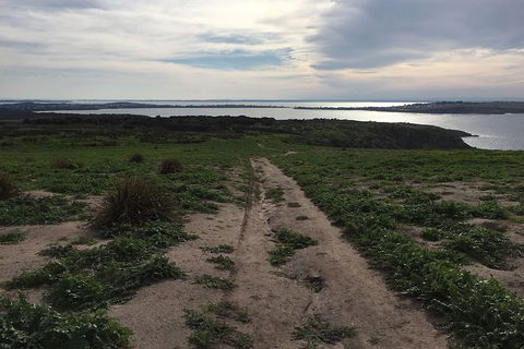 Phillip Island Walking & Bird Watching Tour - Accommodation Newcastle 4
