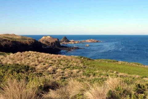 Phillip Island Walking & Bird Watching Tour - Accommodation Newcastle 9