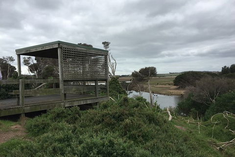 Phillip Island Walking & Bird Watching Tour - Accommodation Newcastle 2