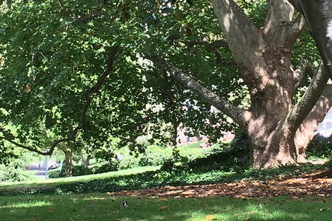 Melbourne Airport To Melbourne CBD To Melbourne Airport (2 Way Transfer) - Accommodation Newcastle 7