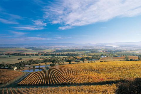 Half Day Yarra Valley Winery Day Trip From Melbourne - Accommodation Newcastle 2