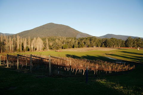 Half Day Yarra Valley Winery Day Trip From Melbourne - Accommodation Newcastle 6