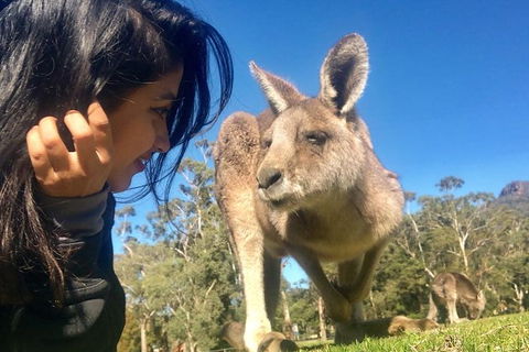 Grampians National Park Day Trip From Melbourne - Accommodation Newcastle 1