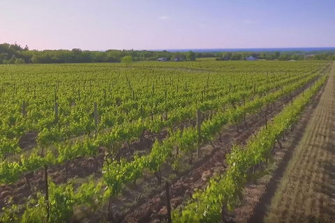 Macedon Ranges Small Group Wine Tour With 2 Course Lunch And Morning Tea - Accommodation Newcastle 1