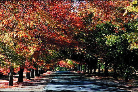 Macedon Ranges Small Group Wine Tour With 2 Course Lunch And Morning Tea - Accommodation Newcastle 3