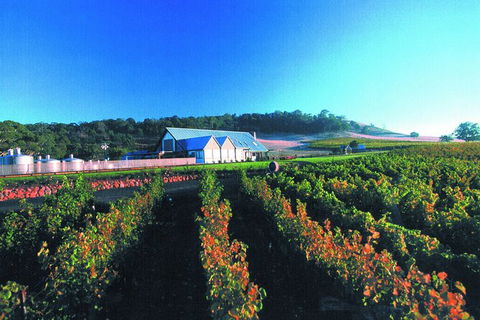 Macedon Ranges Small Group Wine Tour With 2 Course Lunch And Morning Tea - Accommodation Newcastle 4