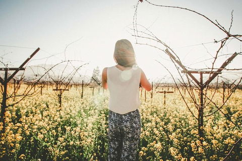 Yarra Valley Rainforest Hike And Winery Tour - Accommodation Newcastle 2