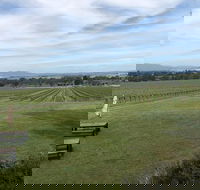 Small Public Mornington Peninsula Winery Tour plus lunch with a glass of wine - Accommodation Newcastle