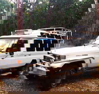 Private Tour Wombat State Forest Wildlife Safari 4WD Tour from Melbourne - Accommodation Newcastle