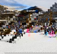 Mt Buller Day Trip from Melbourne - Accommodation Newcastle