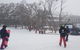 Mt Buller Day Trip From Melbourne - thumb 1