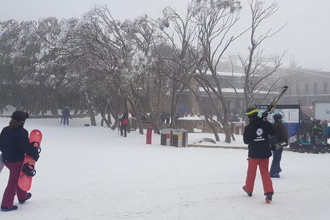 Mt Buller Day Trip From Melbourne - Accommodation Newcastle 1