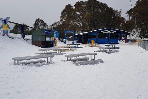 Mt Buller Day Trip From Melbourne - Accommodation Newcastle 15