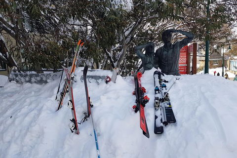 Mt Buller Day Trip From Melbourne - Accommodation Newcastle 5