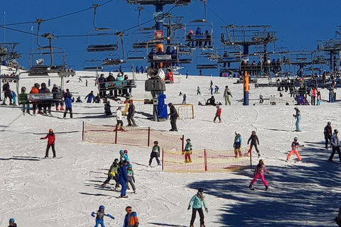 Mt Buller Day Trip From Melbourne - Accommodation Newcastle 13