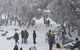 Mt Buller Day Trip From Melbourne - thumb 12
