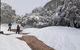 Mt Buller Day Trip From Melbourne - thumb 14