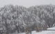 Mt Buller Day Trip From Melbourne - thumb 8