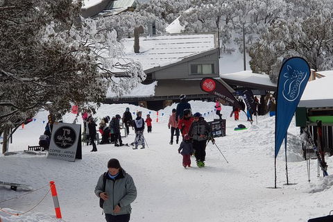Mt Buller Day Trip From Melbourne - Accommodation Newcastle 7