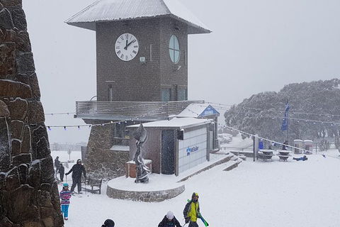 Mt Buller Day Trip From Melbourne - Accommodation Newcastle 9