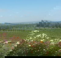Ultimate Mornington Peninsula Food and Wine Small Group Tour - Accommodation Newcastle