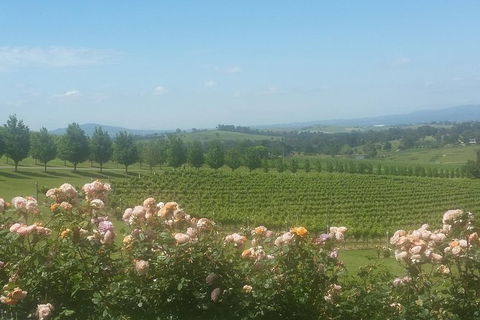 Ultimate Mornington Peninsula Food And Wine Small Group Tour - Accommodation Newcastle 0