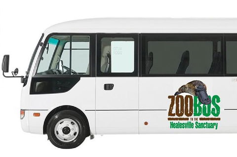 HEALESVILLE SANCTUARY ZOOBUS - MELBOURNE CITY RETURN - Accommodation Newcastle 1