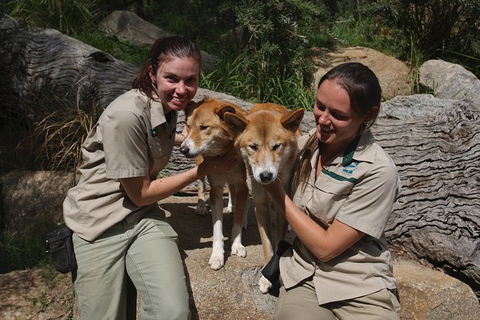 Healesville Sanctuary And Yarra Valley Day Trip From Melbourne - Accommodation Newcastle 12