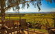 Yarra Valley Small-Group Wine Tour With 2 Course Lunch And Morning Tea - thumb 0