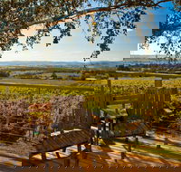 Yarra Valley Small-Group Wine Tour with 2 Course Lunch and Morning Tea - Accommodation Newcastle