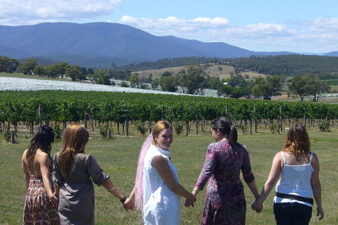 Yarra Valley Small-Group Wine Tour With 2 Course Lunch And Morning Tea - Accommodation Newcastle 6