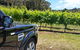 Melbourne Shore Excursion: Small-Group Yarra Valley Wine Tasting Day Trip - thumb 0