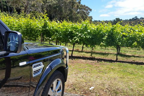Melbourne Shore Excursion: Small-Group Yarra Valley Wine Tasting Day Trip - Accommodation Newcastle 0