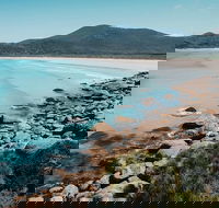 Small Group - Wilsons Promontory Hiking Day Tour from Melbourne - Accommodation Newcastle