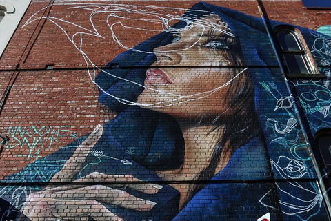 Fitzroy Street Art Tour - Accommodation Newcastle 0