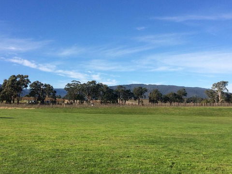 Yarra Valley Wineries And Puffing Billy Steam Train Tour From Melbourne - Accommodation Newcastle 17