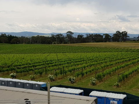 Yarra Valley Wineries And Puffing Billy Steam Train Tour From Melbourne - Accommodation Newcastle 4