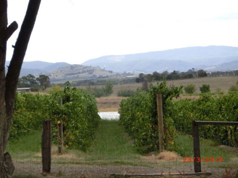 Yarra Valley Wineries And Puffing Billy Steam Train Tour From Melbourne - Accommodation Newcastle 25